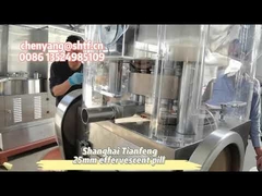 ZP17B 치킨 큐브 발포성 정제 타정기