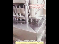 ZPW19 이중 색상 식기 세척기 정제 압착기 2층 발포 정제 제조기