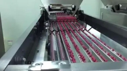 고속 380V 제약 병 충전 생산 라인 (60ml, 80ml, 100ml 병용, 1년 보증)